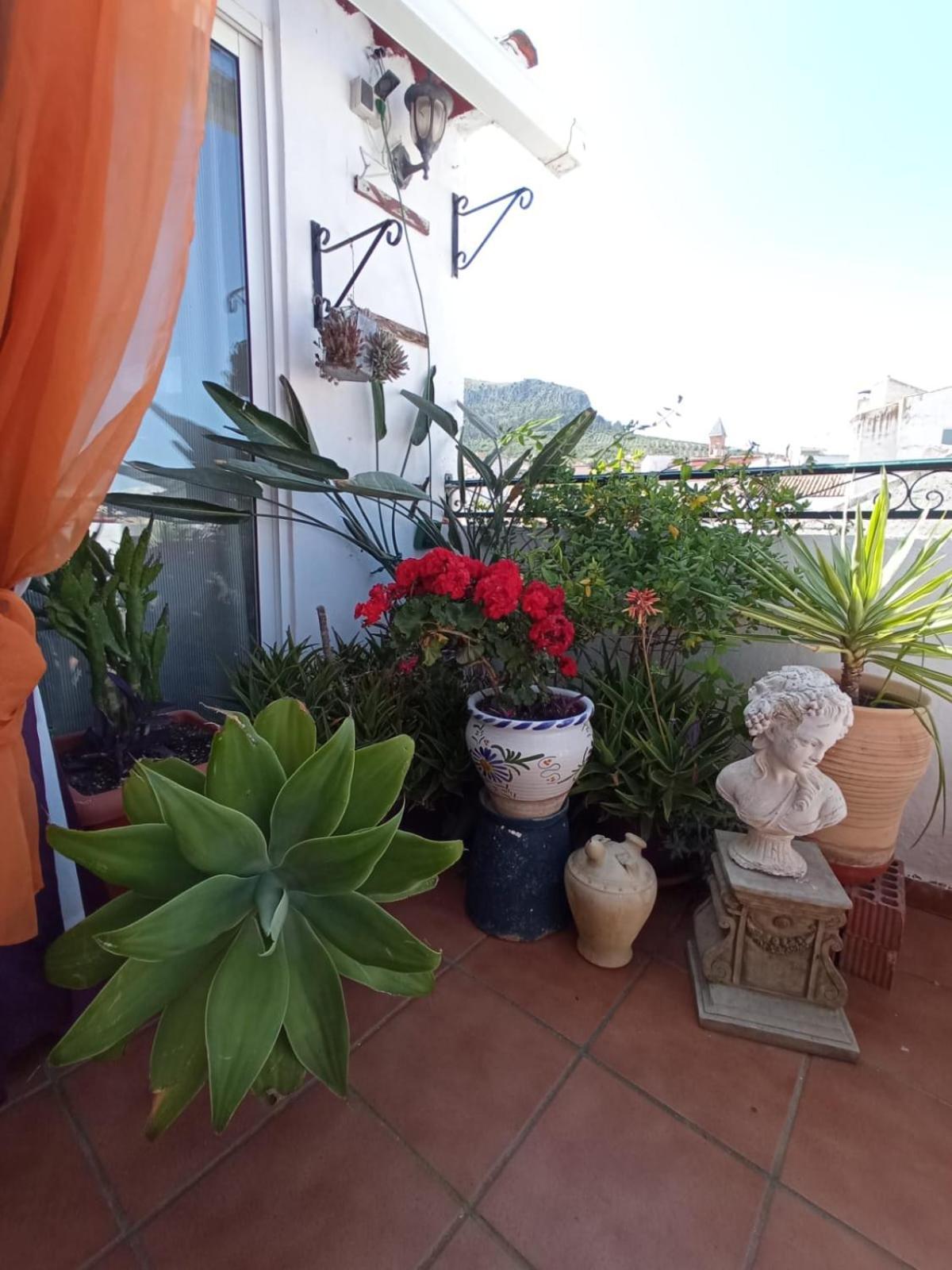 Hostal R-Conecta Cuevas De San Marcos Eksteriør bilde